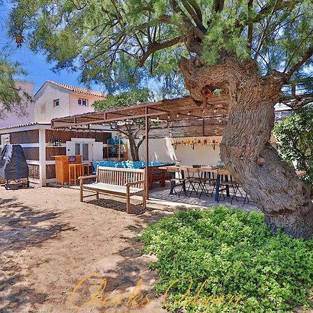 Villa Des Tamaris, Villa 5* En Bord De Mer. 프롱티냥 외부 사진